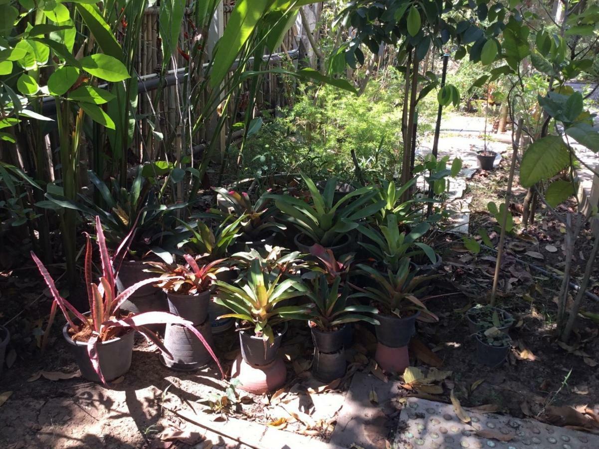 Rustic​ Charm​ Suphan​ Ban Tha Pong エクステリア 写真